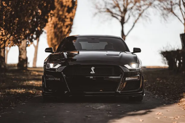 Casino777 Kasino Apl Android/iOS